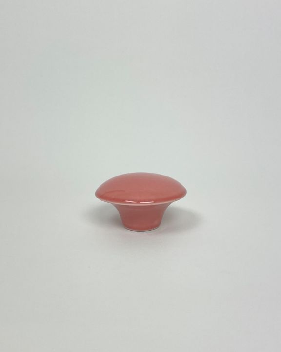 handle & hooks plain coral l